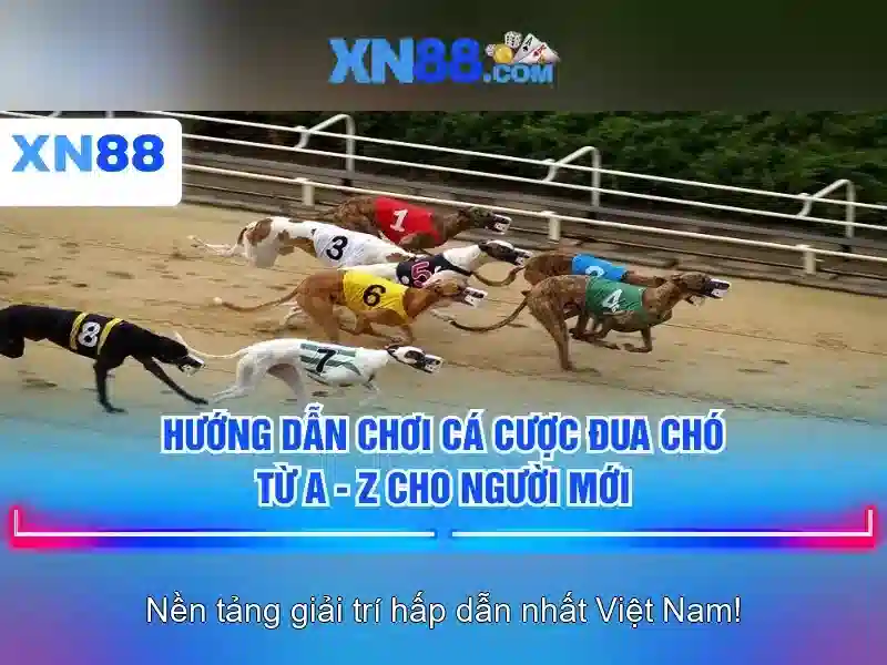 xn88: Nền tảng giải trí trực tuyến và những gì bạn cần biết