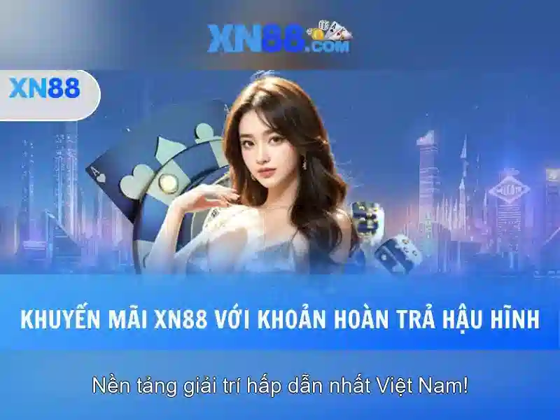 Lĩnh vực và dịch vụ nổi bật