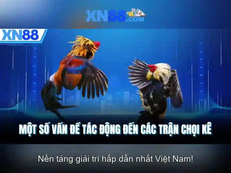 xn88 - Một số thông tin và đánh giá