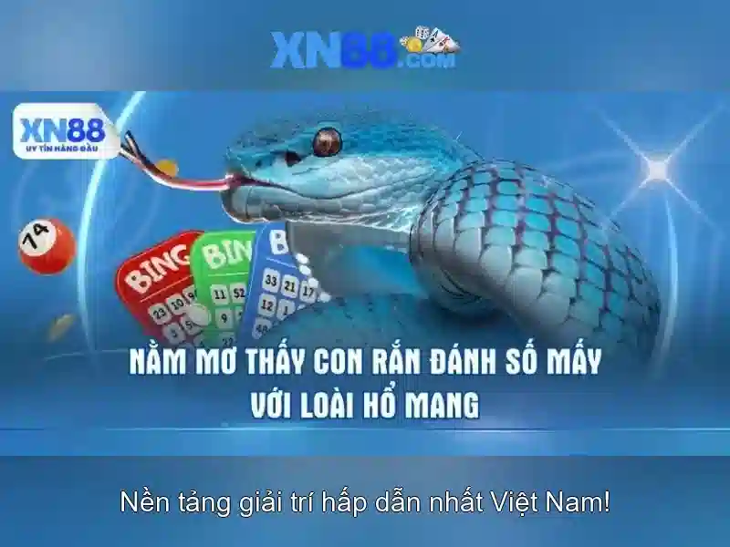 Lịch sử và nguồn gốc