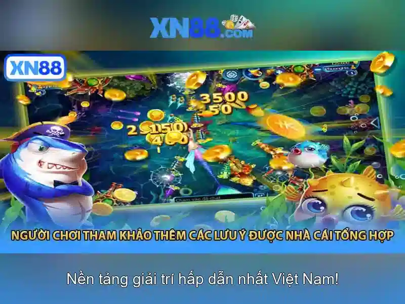 Kết luận