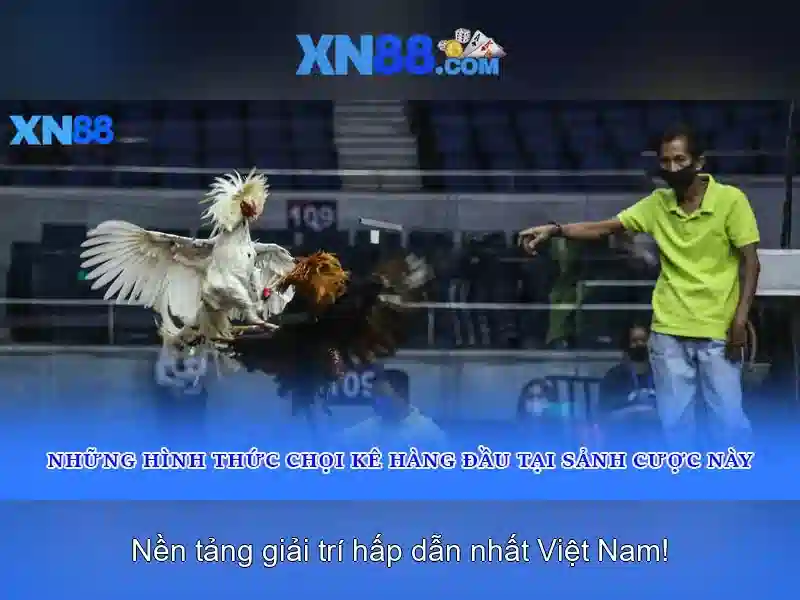 Giới thiệu tổng quan về xn88