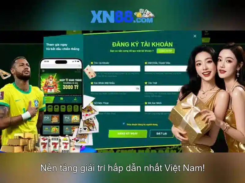 Nền tảng và lĩnh vực hoạt động
