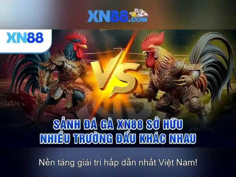 Khuyến mãi và chương trình khách hàng thân thiết