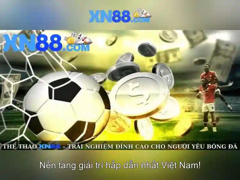 Trải nghiệm người dùng