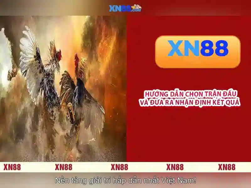 Tính năng chính của xn88