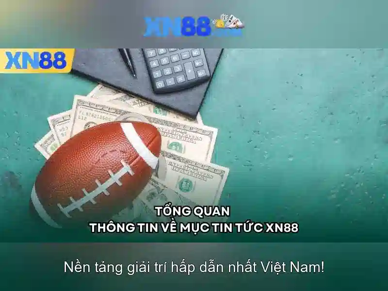 mô tả bằng tiếng Việt