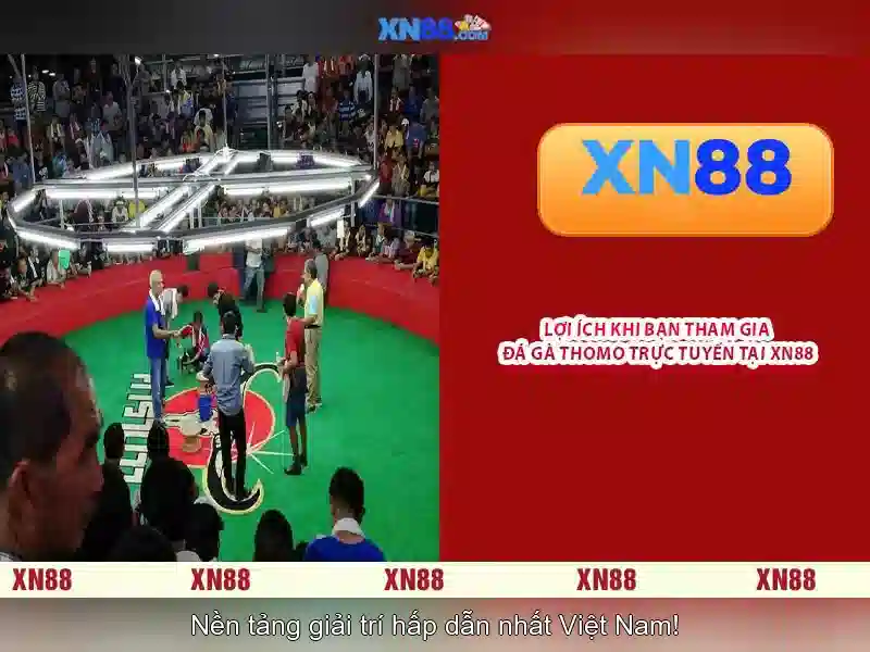 xn88: Nền tảng trò chơi trực tuyến và Casino