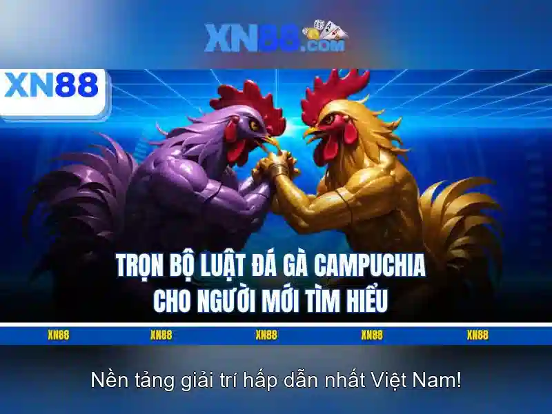 xn88: Tổng quan về nền tảng giải trí và cược trực tuyến