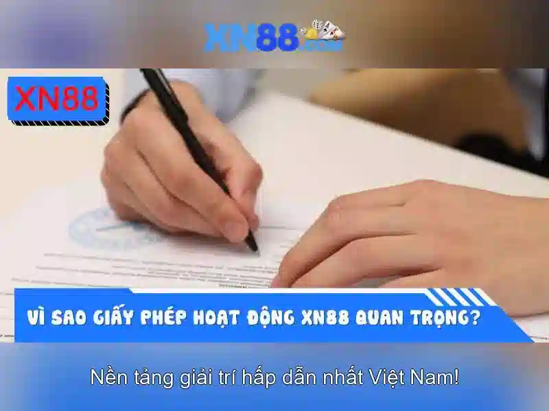 Kết luận và tương lai của xn88