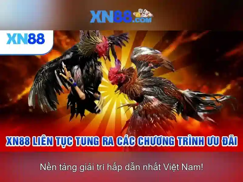 xn88: Nền tảng chơi game trực tuyến và những điều bạn cần biết