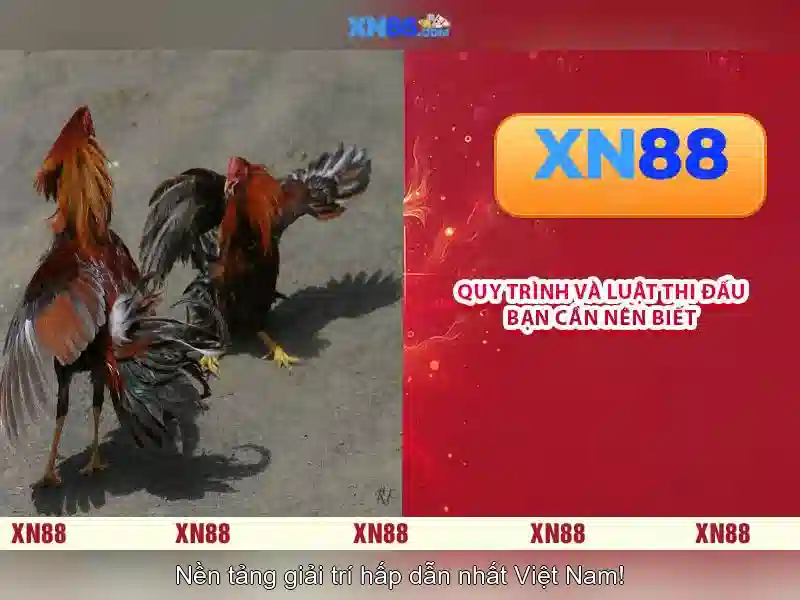 Nguồn gốc và mục tiêu