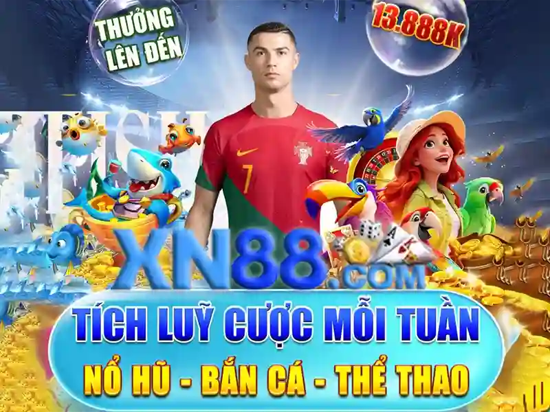 Giới thiệu về xn88