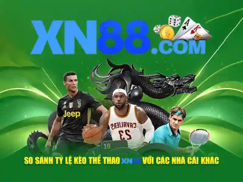 Các lĩnh vực hoạt động của xn88